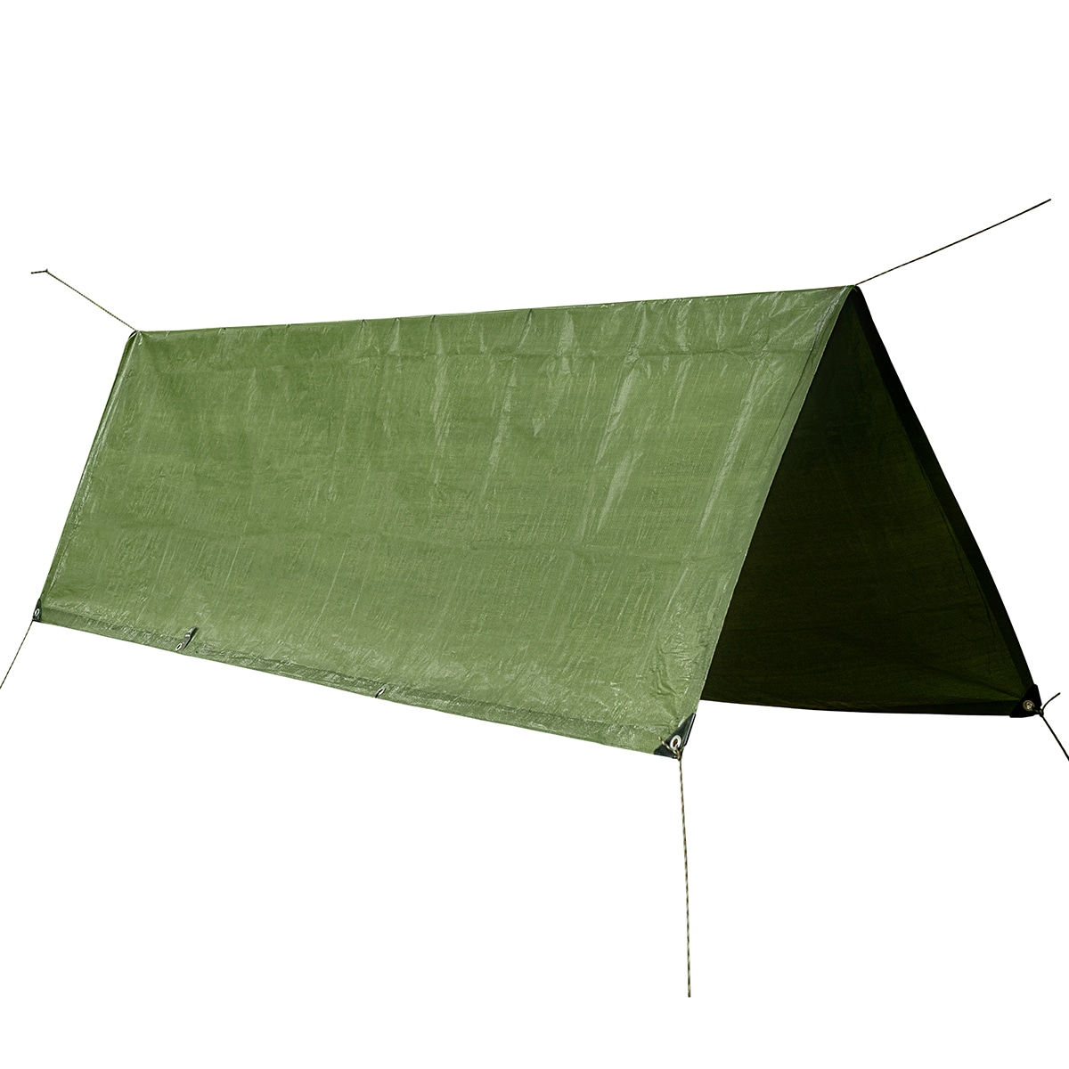 Бівуачне полотно Mil-Tec 5х6 м - Olive